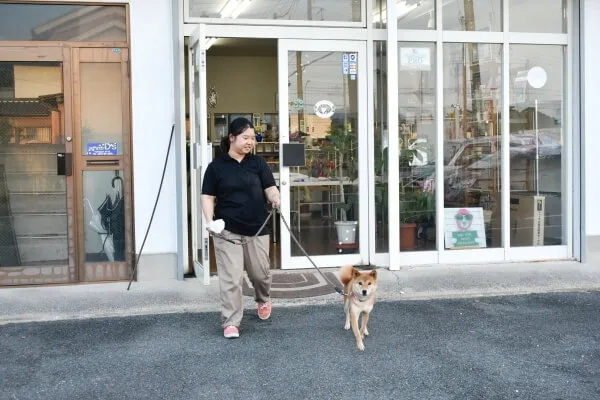 宿泊中のワンちゃんは近くの公園までお散歩します