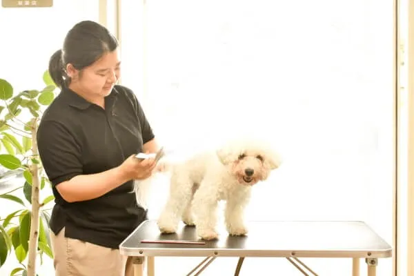 飼い主さまの喜ばれるお顔を見るのが楽しみです