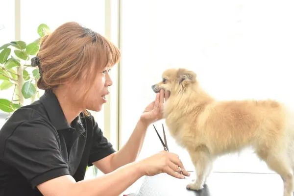 ワンちゃんと心が通じ合う瞬間が喜びです